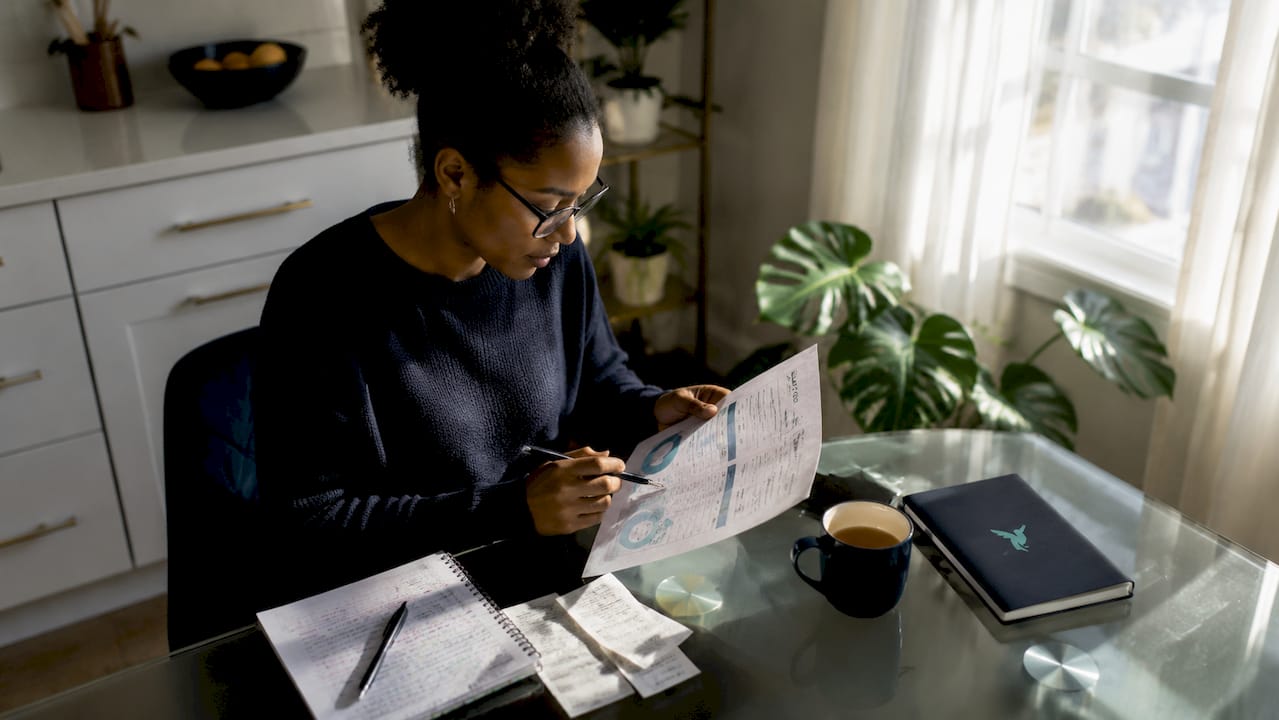 The Role of Spending Insights in Budget Optimization